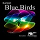 Blue Brids Single