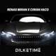 Dilketimê feat Ciwan Haco Single