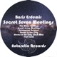 Secret Seven Meetings