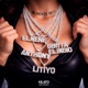 Se Siente Rico feat Litiyo Single
