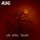 Life after Death Instrumental Version Single