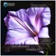 Ipomoea Single