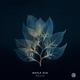 Roots Single