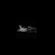 Artist s Curse EP