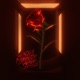 Não Te Prometo Amor feat DJ Borest Single