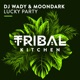 Lucky Party Radio Edit Single