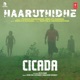 Haaruthidhe From Cicada Single