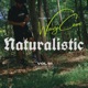 Naturalistic