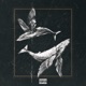 Big Fish feat ProjectPorter Single
