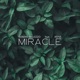 Miracle feat Irene Single