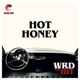 Hot Honey feat Robert Walter Eddie Roberts Adam Deitch Nick Gerlach Single