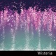 Wisteria