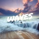 Waves feat Cayla Fox Single