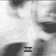 Size Venti Coming Soon Single