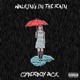 Walking in the Rain Single
