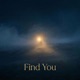 Find You Single
