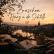Zwüschem Härz u dr Schtilli Single