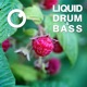 Liquid Drum Bass Sessions 2020 Vol 13