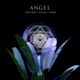 ANGEL Single