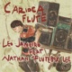 Carioca Flute feat Nathan Flutebox Lee Single