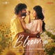 Bloom From Loopd Single