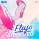 Flujo Single