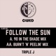Follow the Sun Single