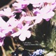 A safe place Songs Demos 2021 2022