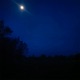 Lonely Again Single