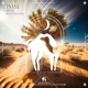 Stellar Serenade Single