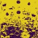 Sunflower Single