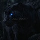 Animal Instinct feat Venlo Single