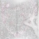 NEGALVOJU Single