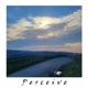 Perceive Single