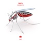 Mosquito Single