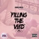 Filling the Void Single