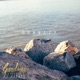 Gravity Single