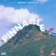 Pinnacle Single