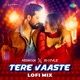 Tere Vaaste LoFi Mix Single