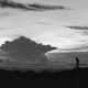 Longing Single
