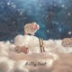 Belly Rest Single