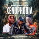 Xenophobia feat Abuja SkypeSyde Factor Single