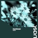 Explore Single