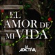 El Amor de Mi Vida Single