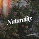 Naturality Single