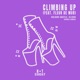 Climbing Up Birdee Remix Single