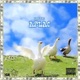Aflac Single