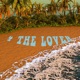 4 the Lover Single