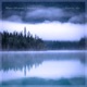 Forming Mist Single