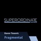 Fragmental Single
